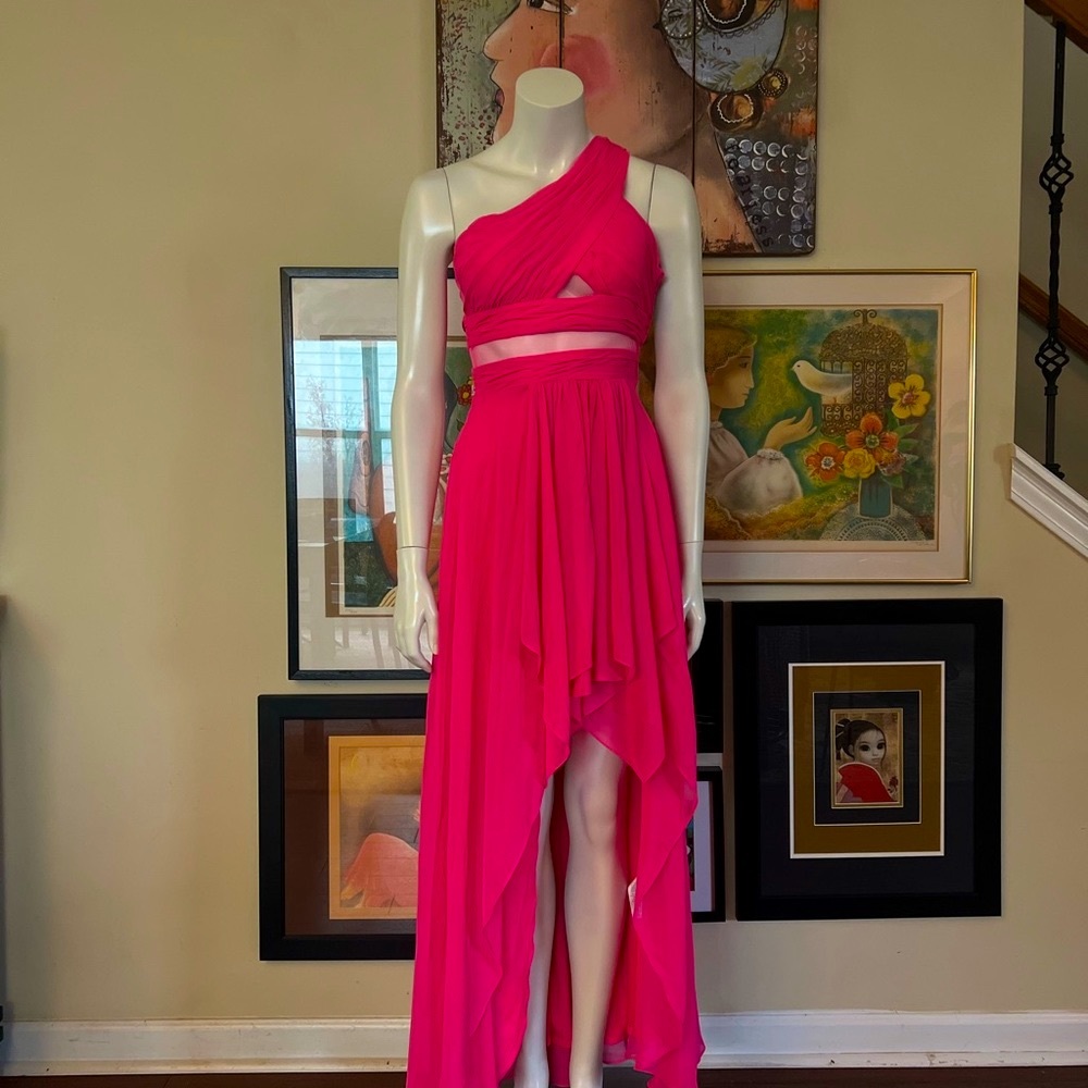 Pink Gown - Picture 5 of 6